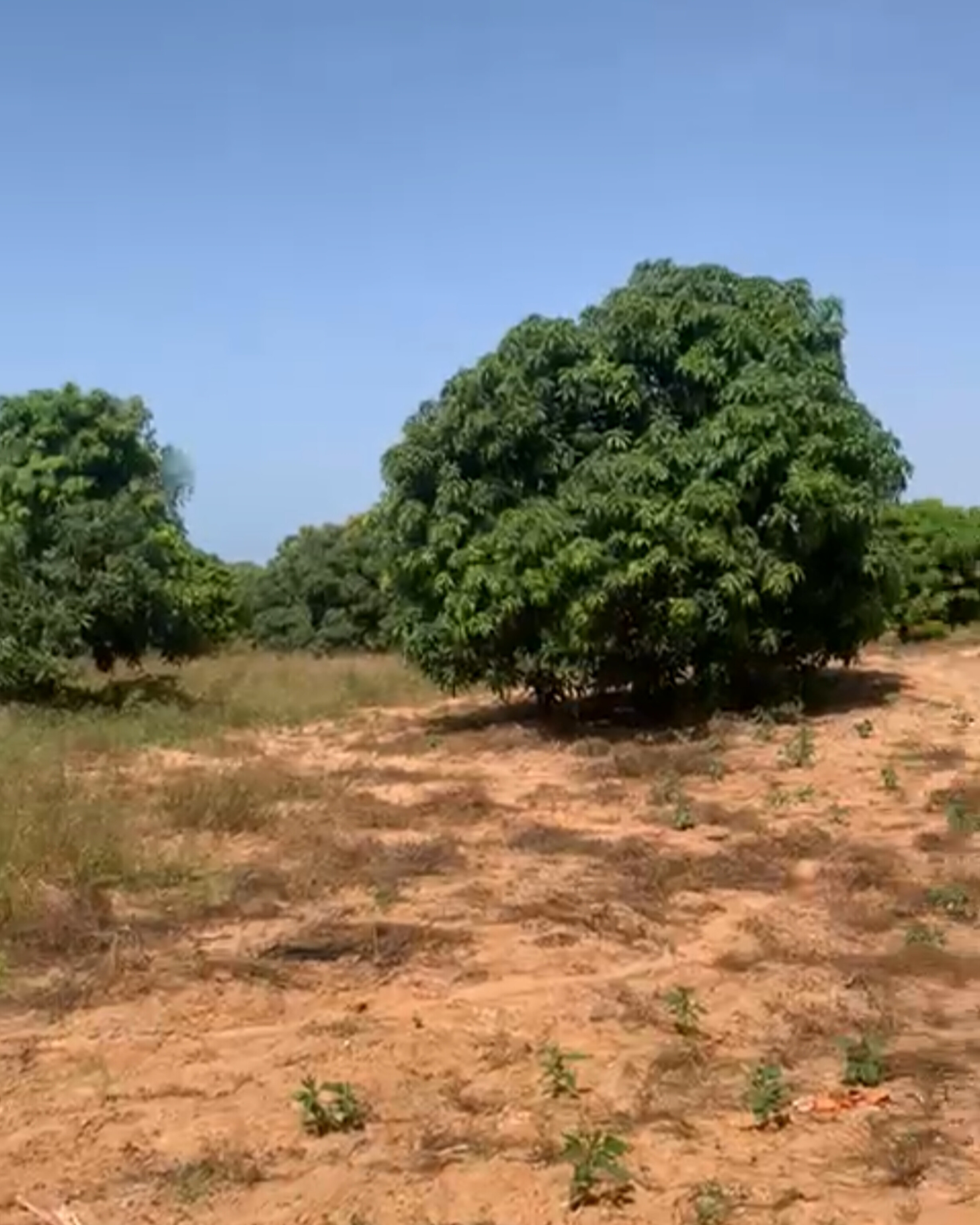 Terrain — photo 1